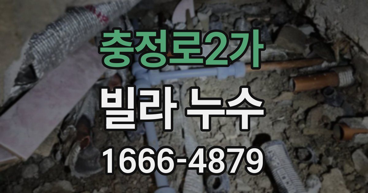 충정로2가 빌라 누수