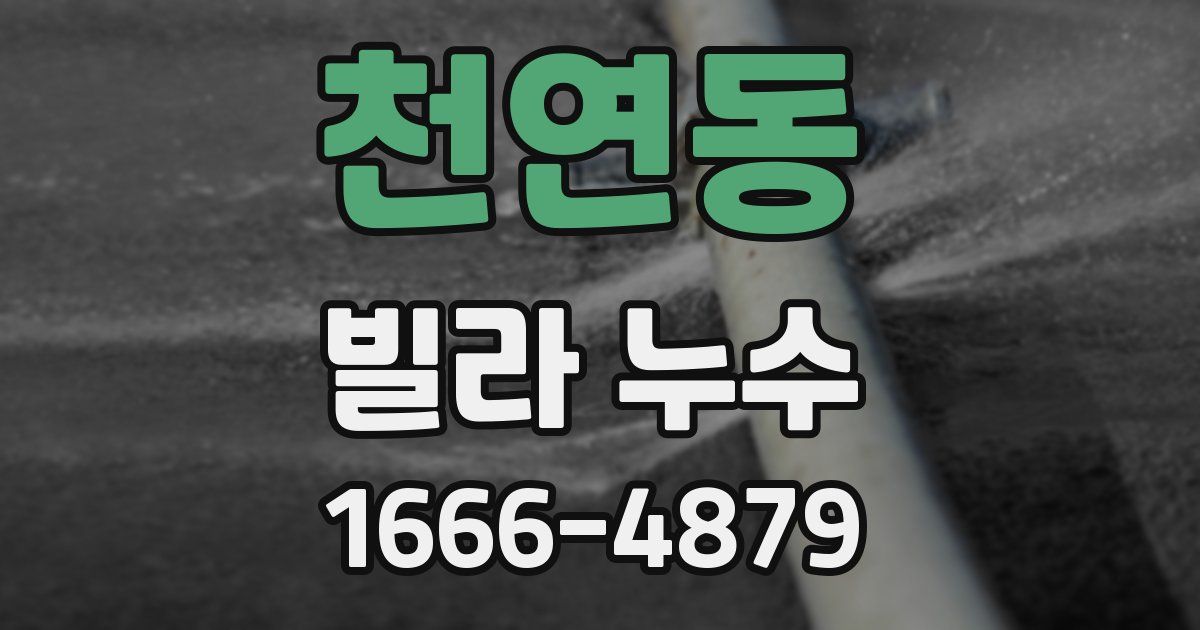천연동 빌라 누수