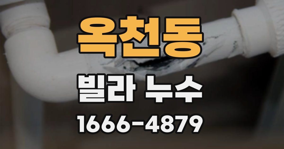 옥천동 빌라 누수