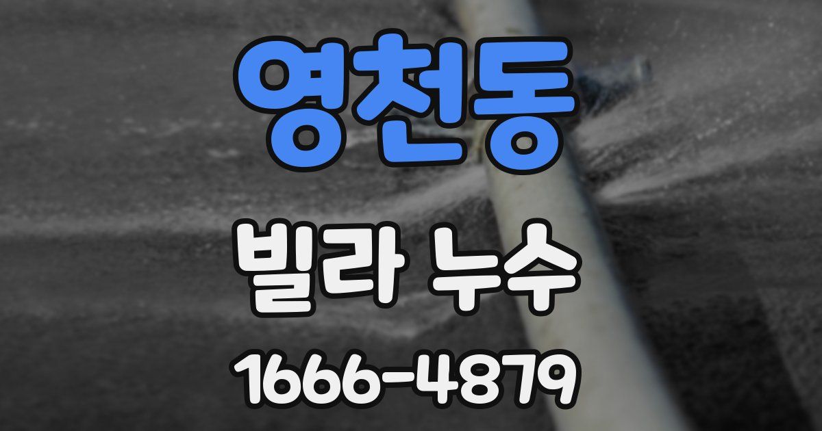 영천동 빌라 누수