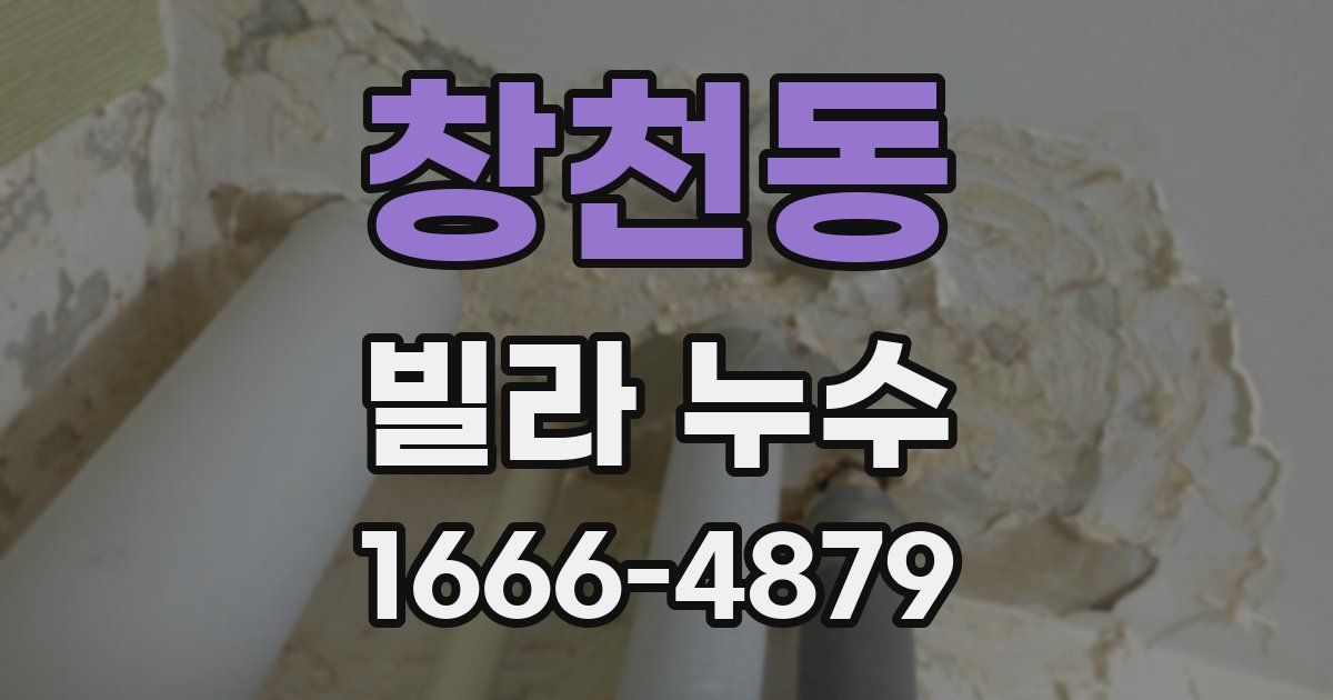 창천동 빌라 누수