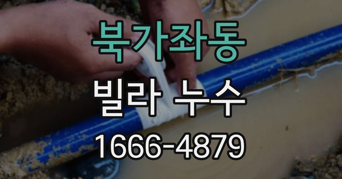 북가좌동 빌라 누수