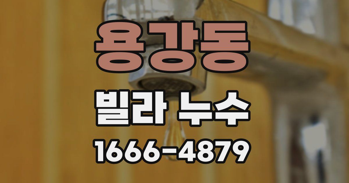 용강동 빌라 누수