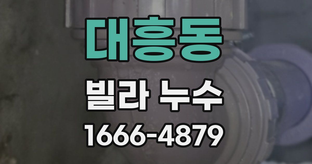 대흥동 빌라 누수
