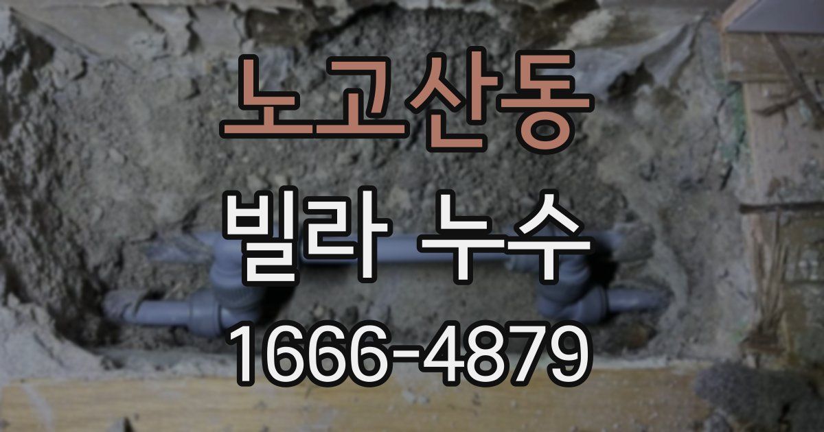 노고산동 빌라 누수