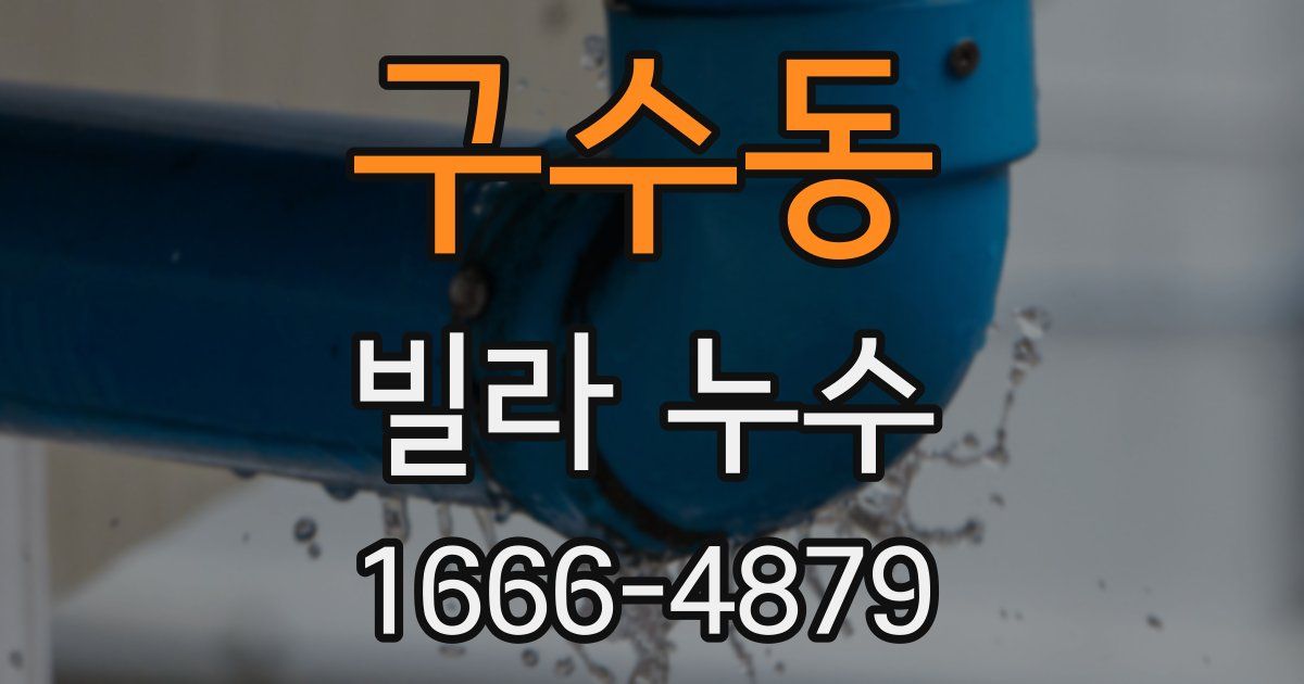 구수동 빌라 누수