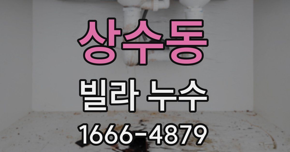 상수동 빌라 누수