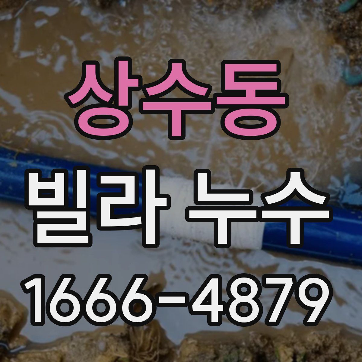 상수동 빌라 누수