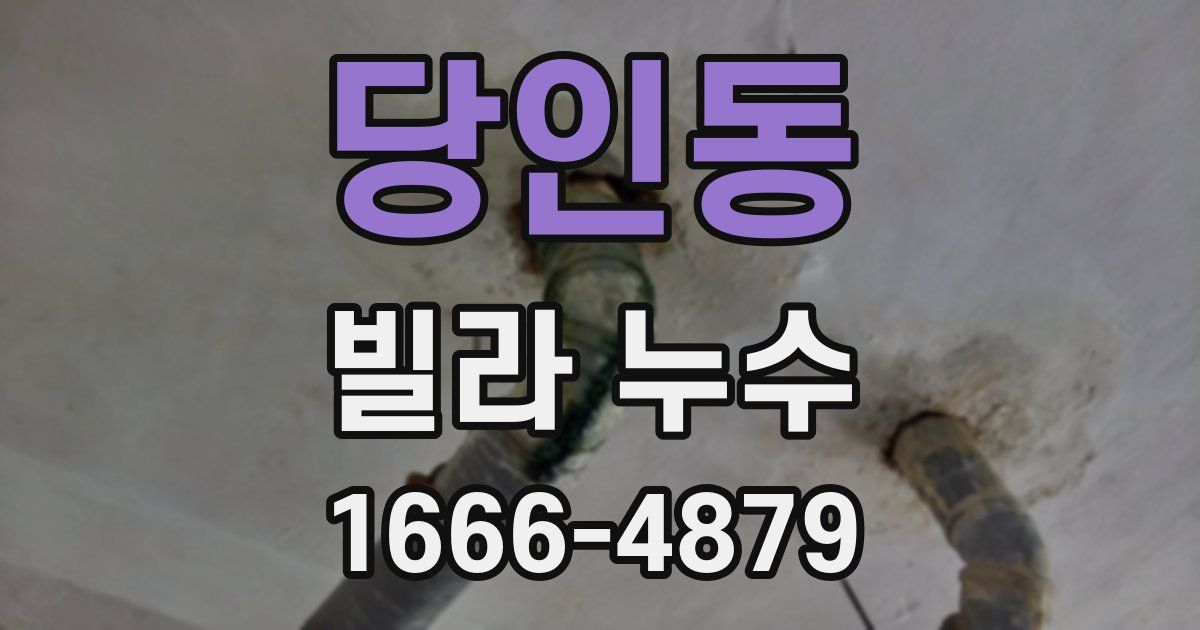 당인동 빌라 누수