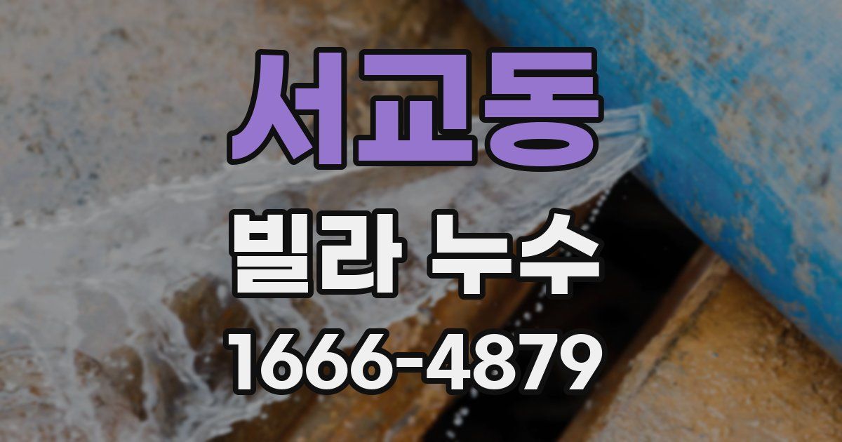 서교동 빌라 누수