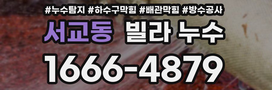 서교동 빌라 누수