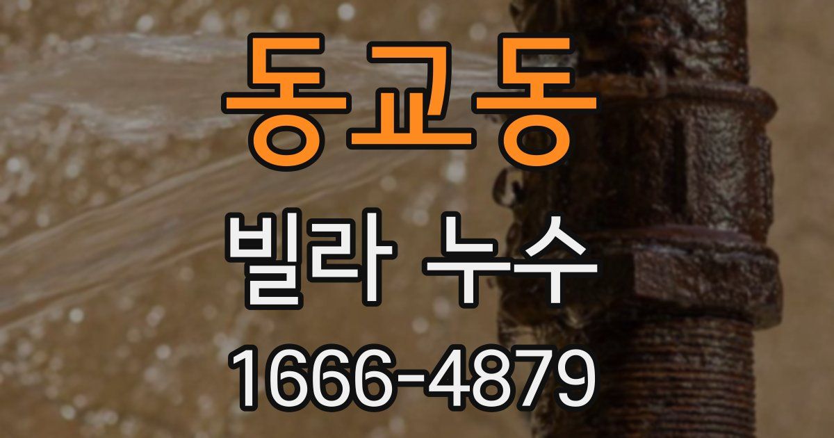 동교동 빌라 누수