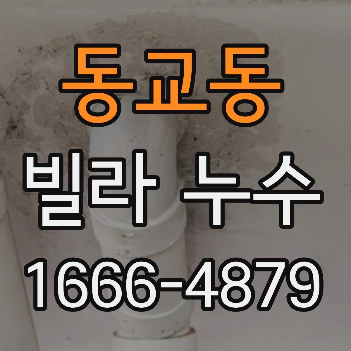 동교동 빌라 누수