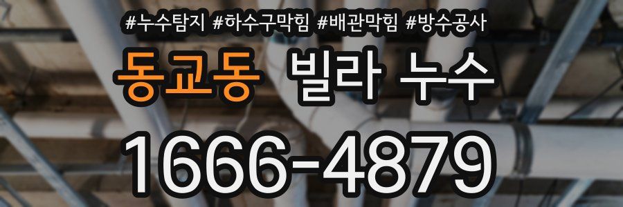 동교동 빌라 누수