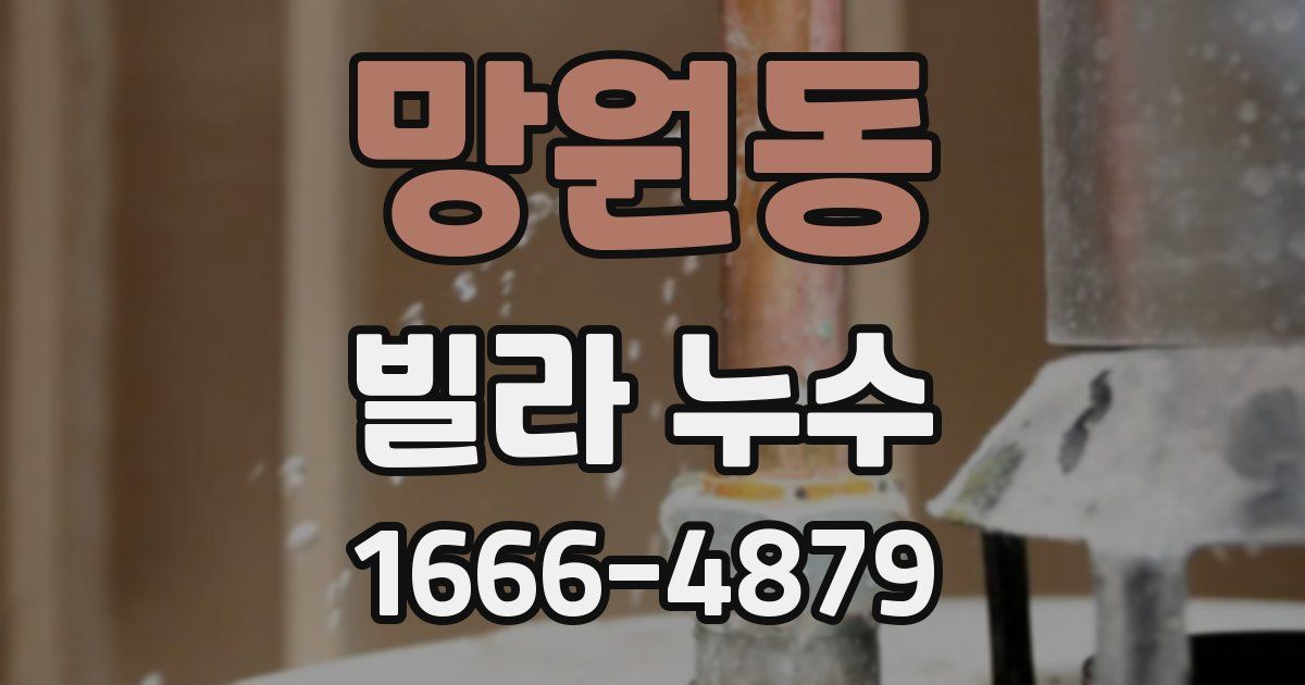 망원동 빌라 누수