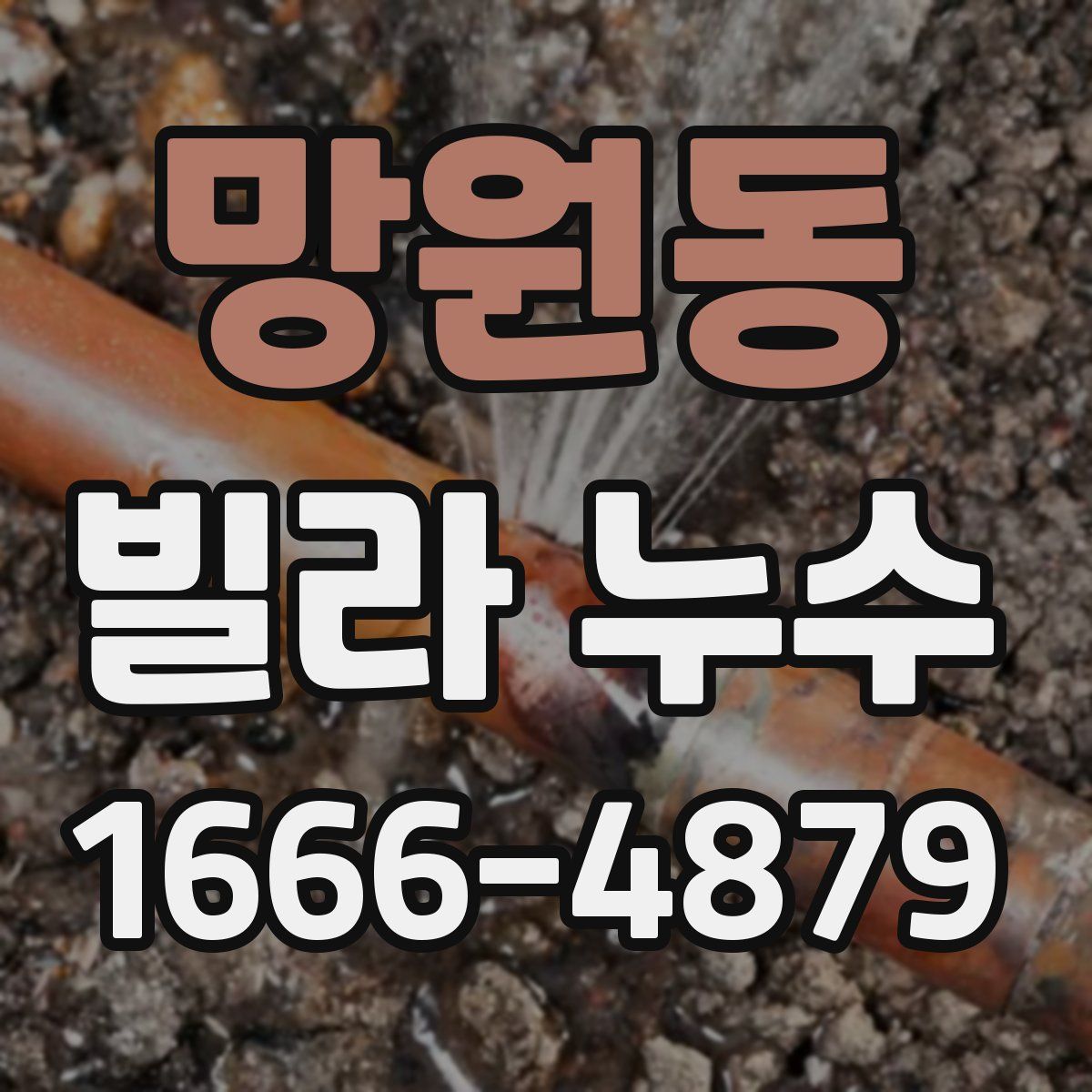 망원동 빌라 누수