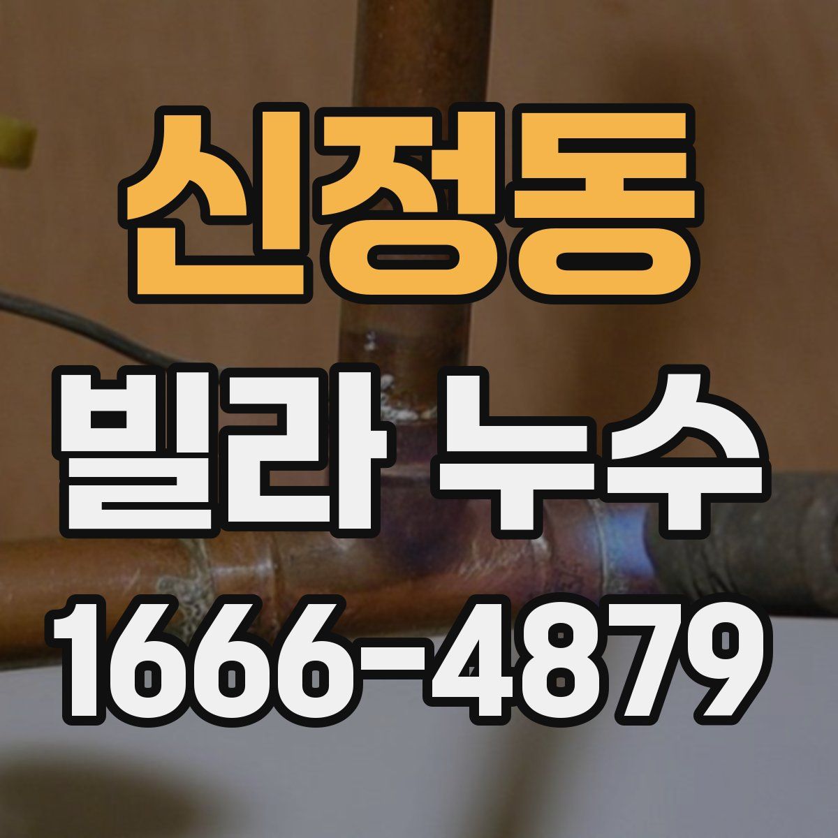 신정동 빌라 누수