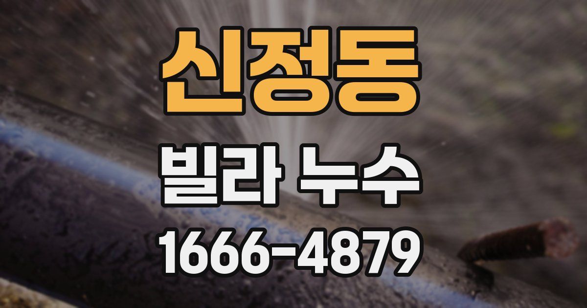 신정동 빌라 누수