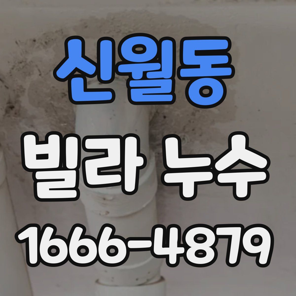 신월동 빌라 누수