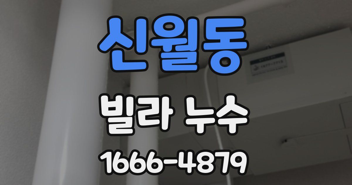 신월동 빌라 누수
