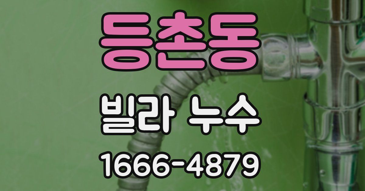 등촌동 빌라 누수