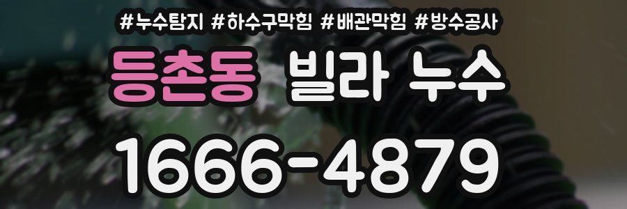 등촌동 빌라 누수