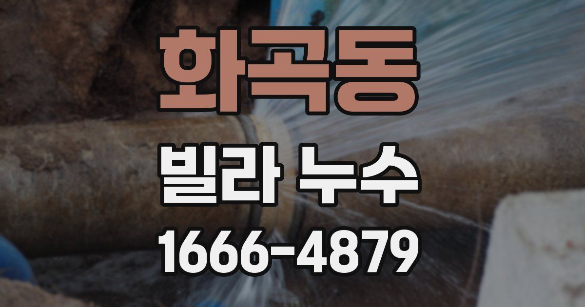 화곡동 빌라 누수