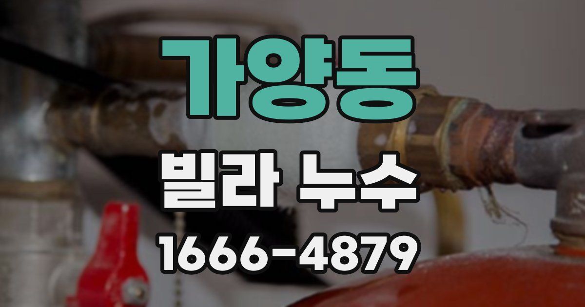 가양동 빌라 누수