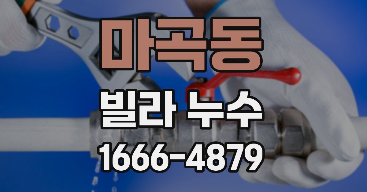 마곡동 빌라 누수