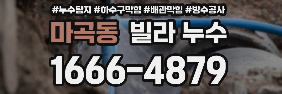 마곡동 빌라 누수