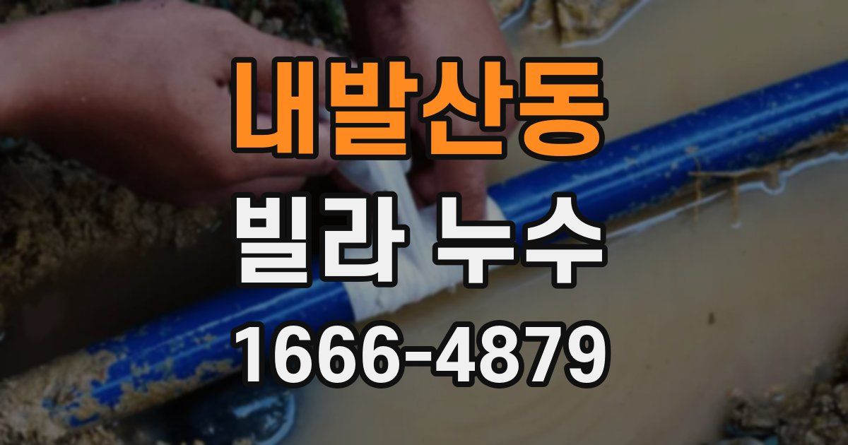 내발산동 빌라 누수