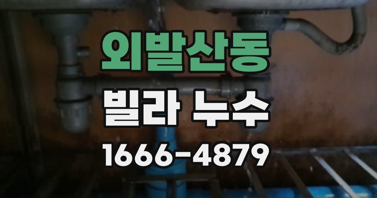 외발산동 빌라 누수