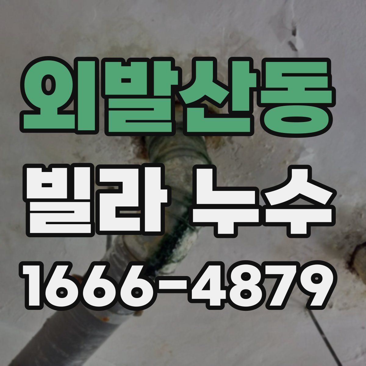 외발산동 빌라 누수
