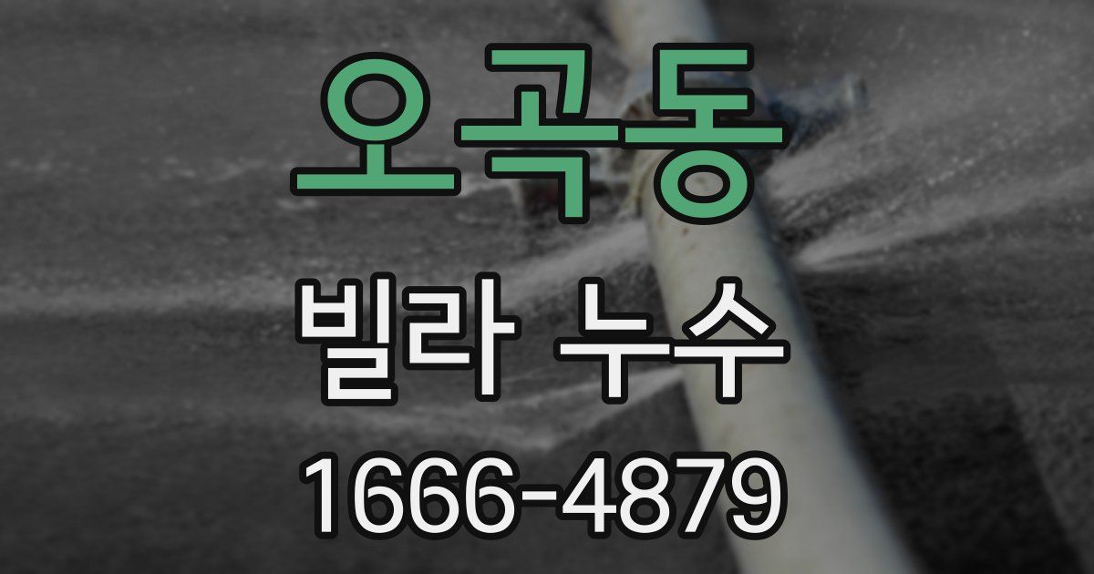 오곡동 빌라 누수