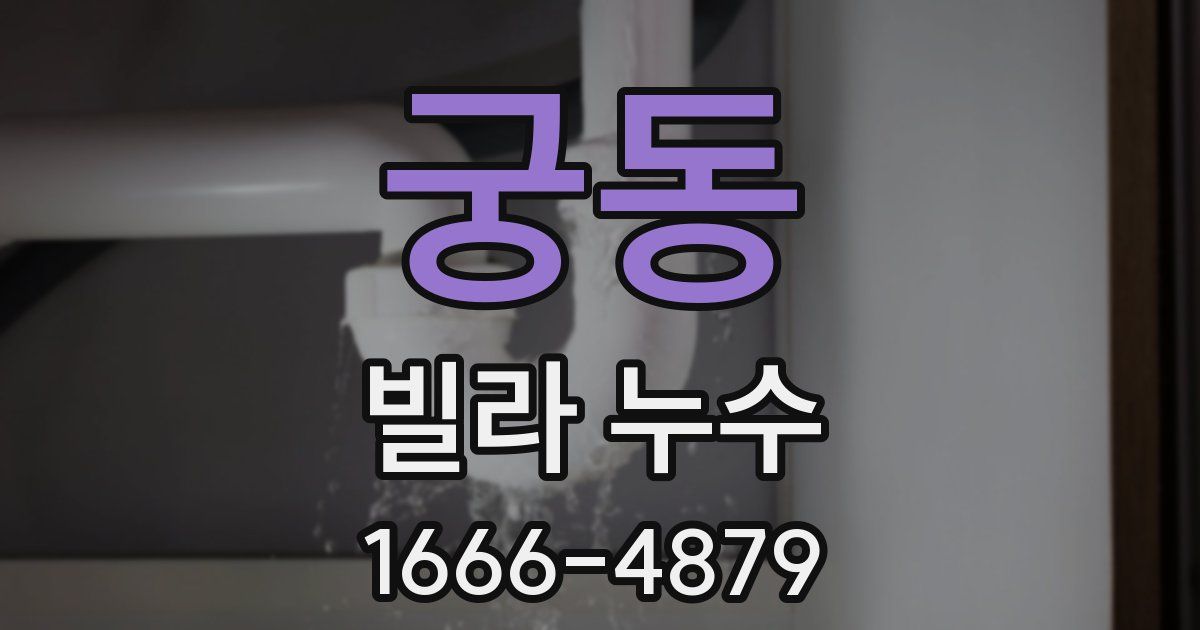 궁동 빌라 누수