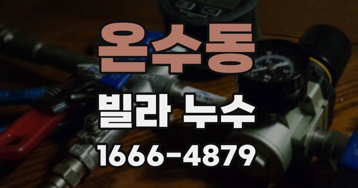 온수동 빌라 누수