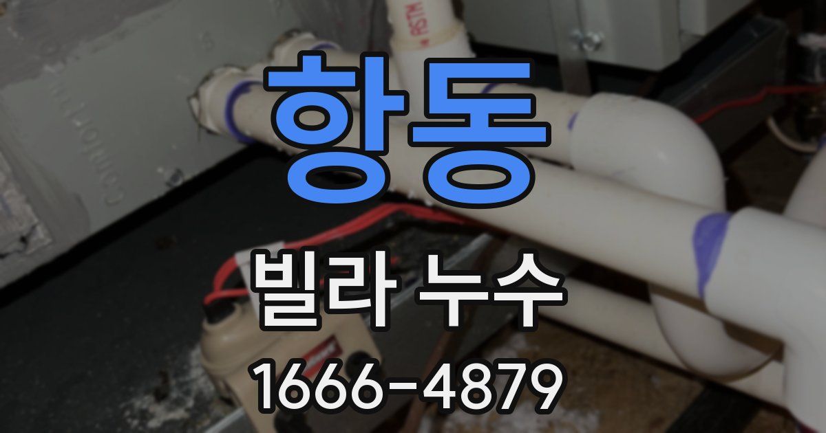 항동 빌라 누수