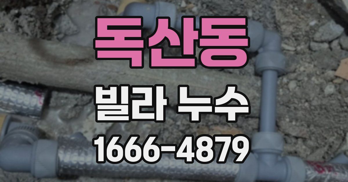 독산동 빌라 누수