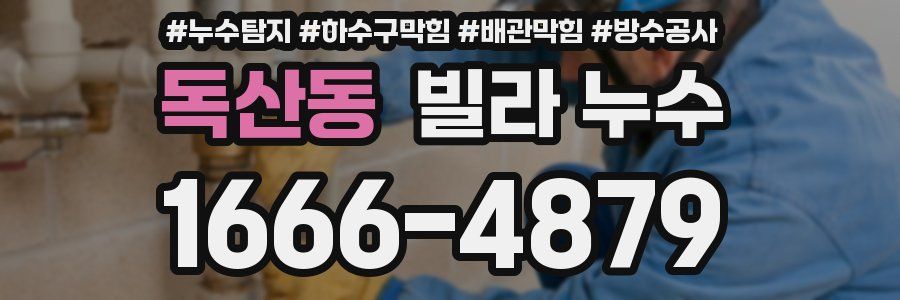 독산동 빌라 누수