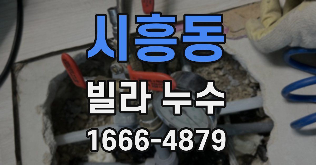 시흥동 빌라 누수