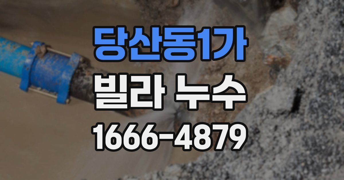 당산동1가 빌라 누수