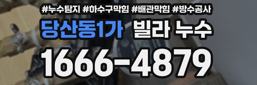 당산동1가 빌라 누수