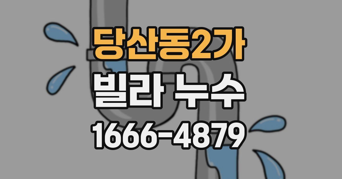 당산동2가 빌라 누수