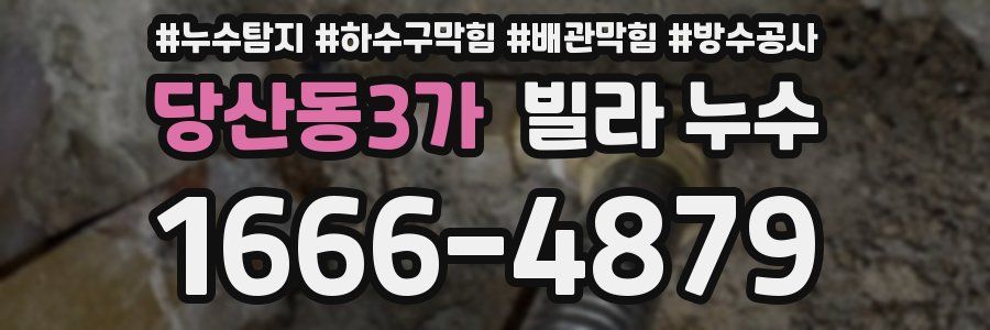 당산동3가 빌라 누수