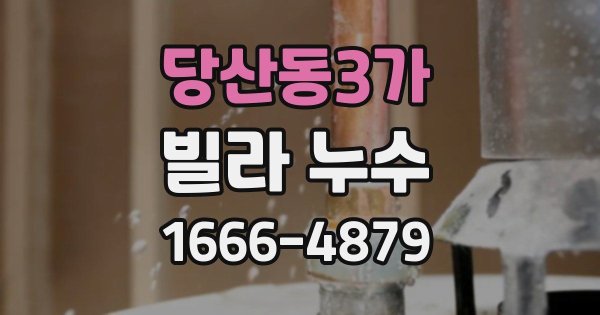 당산동3가 빌라 누수