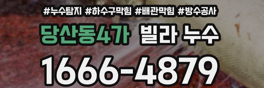 당산동4가 빌라 누수