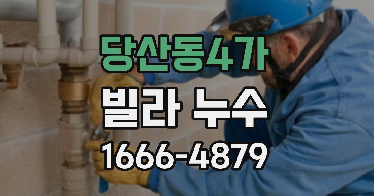 당산동4가 빌라 누수
