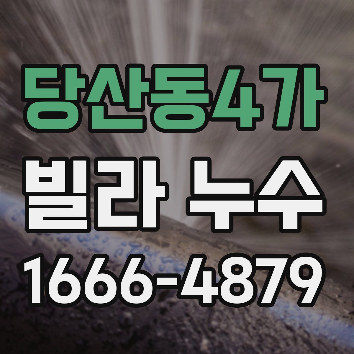 당산동4가 빌라 누수