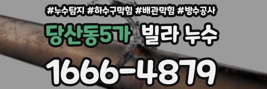 당산동5가 빌라 누수