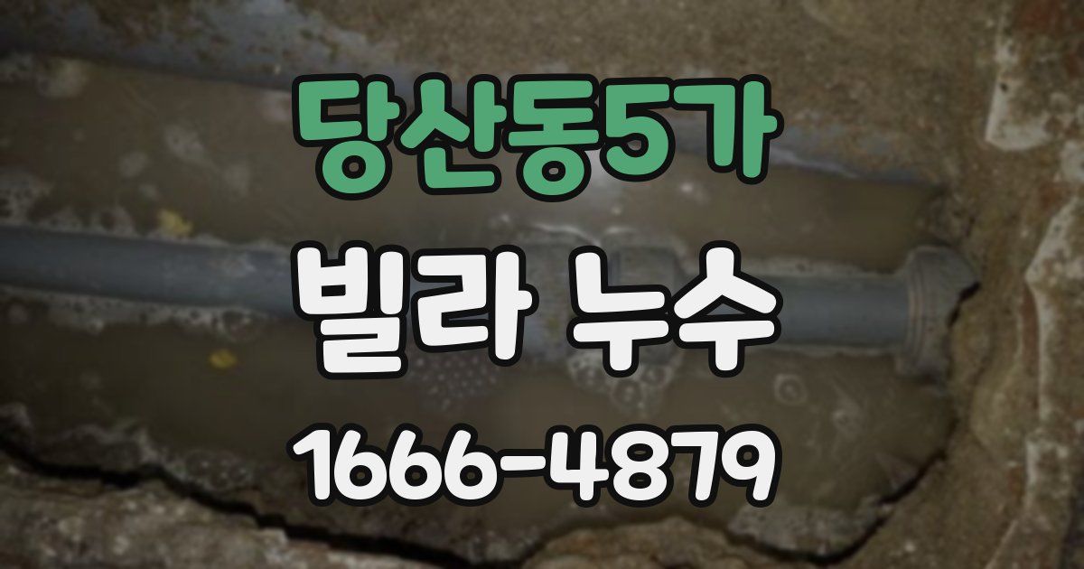 당산동5가 빌라 누수